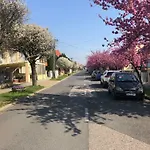 Prestige بيت ضيافة Hévíz